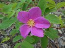 DSCN1067-small.jpg