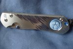 Tiger Sebenza.jpg