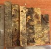 BuckeyeBurl_edge.jpg BuckeyeBurl_edge.jpg