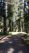 20180526_102246.jpg