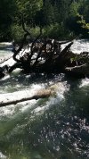 20180524_170509.jpg