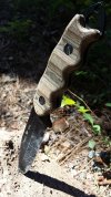 20180526_105244.jpg