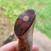 20180528_095659.jpg