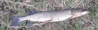 20180525_204022.jpg