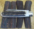 A.Wright Straight Sambar Lambsfoot 8-4.JPG