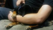20180528_192331.jpg