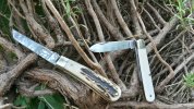 Stag Lambfoot & keen kutter I in rosemary 001.jpg