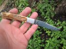 mammoth & raindrop slipjoint 027.JPG