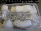 tub.contents.jpg
