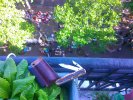 camping-brocante.jpg