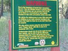 886_Image11_1.jpg
