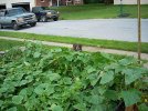 DSCN0918.jpg