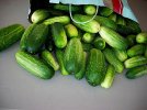 DSCN0920.jpg