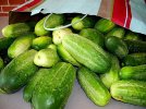 DSCN0923.jpg