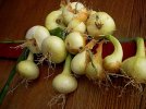 DSCN0928.jpg
