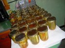 DSCN0940.jpg