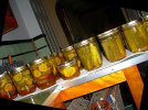 DSCN0941.jpg