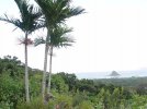 Kualoa Hunt (Large).jpg