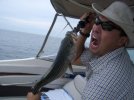Striper.jpg
