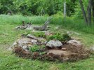 DSCF0085 ENTRY GARDEN ROCKERY TRIMMED 650 MED.jpg