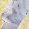 IMG_20180606_203540_306.jpg