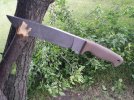 HogB8 tree trimmin.jpg