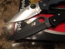 spydie2.jpg