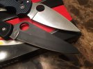 spydie3.jpg