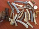 Horn#1_ElkBeam.JPG