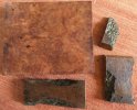 RedwoodBurl.JPG