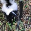 IMG_0946.jpg