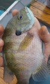 20180603_085751.jpg