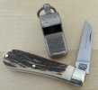 AW Small Sambar LF (2) 1-8.JPG