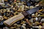 W.A. Surls Knives052.jpg W.A. Surls Knives052.jpg