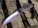 Krein TK 8 Red CF 3.1.jpg