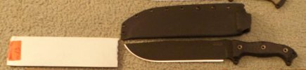 Busse col copy.jpg