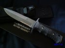 SILVER TRIDENT 1.jpg