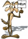 _21477BP~Looney-Tunes-Wile-E-Coyote-Posters2.jpg