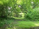 my picture 016.jpg