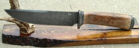 Sanders Small Bowie.jpg