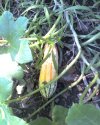 08-11-09_1755.jpg