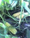 08-11-09_1756.jpg