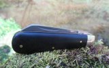 AW Ebony Lambsfoot 29-3.JPG