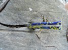 DSCN8061.jpg