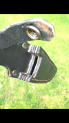 E605649D-5F66-4A33-9448-A02FBFD14996.png E605649D-5F66-4A33-9448-A02FBFD14996.png