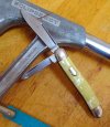Richards Serpentine Jack 2.jpg
