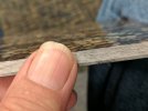 IMG_20180626_085954.jpg