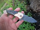 double bolster flipper 007.JPG