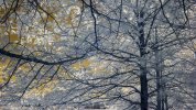062918-9.jpg