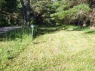 DSCF0284 MOWED FIELD BY ROAD 650 MED.jpg
